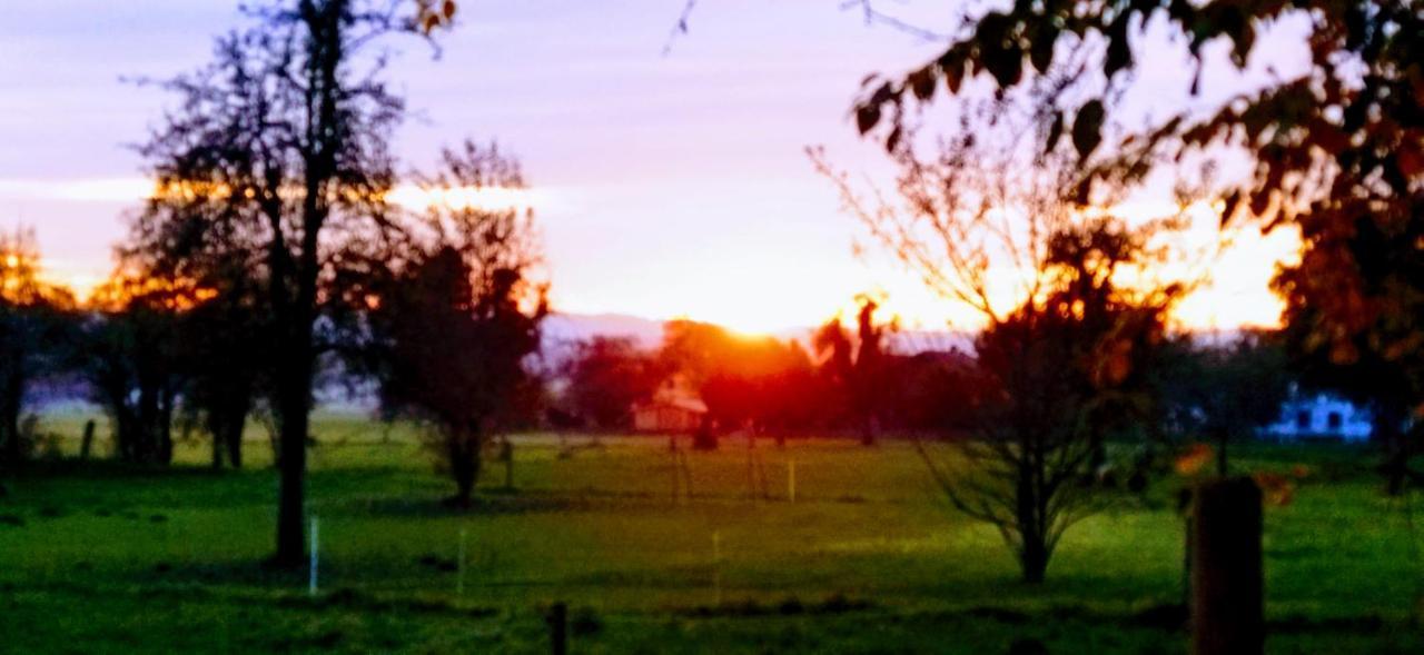 Seenswert - Vegane Pension Und Ferienwohnungen Am Ammersee Pahl ภายนอก รูปภาพ